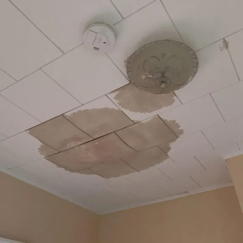 Ceiling Water Damage Repair in Georgetown, CT