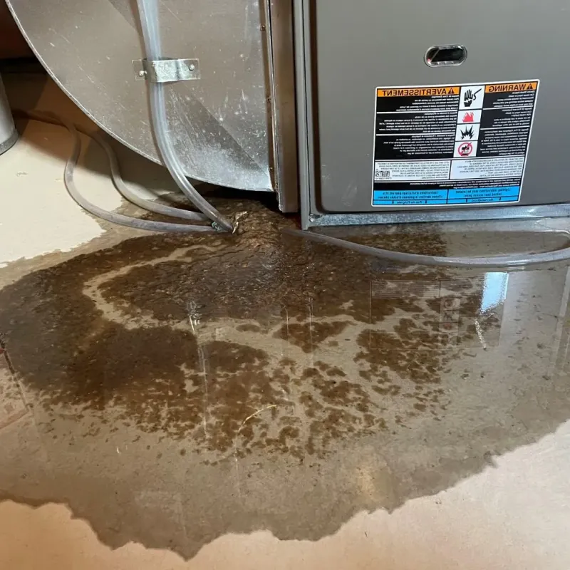 Pipe Burst and Leak Restoration in Georgetown, CT