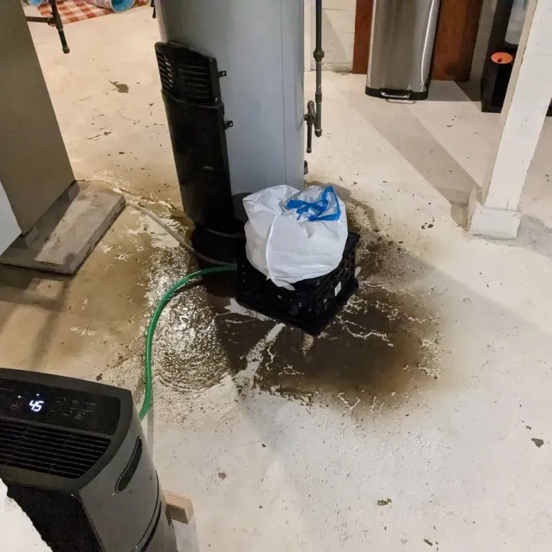 Sewage Backup Cleanup Service in Georgetown, CT